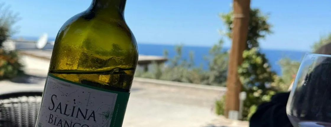 Wine tasting and brunch in a traditional farmhouse in Salina