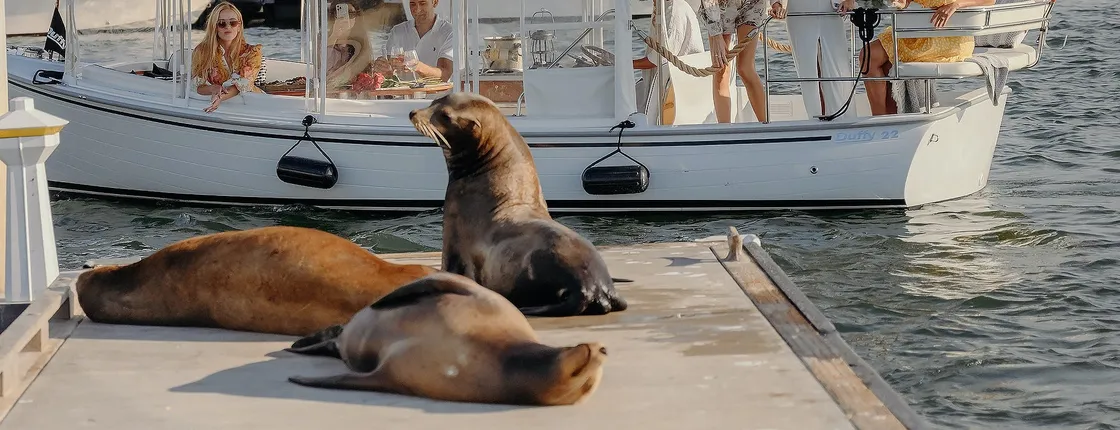 Electric boat sunset cruise with wine and charcuterie board