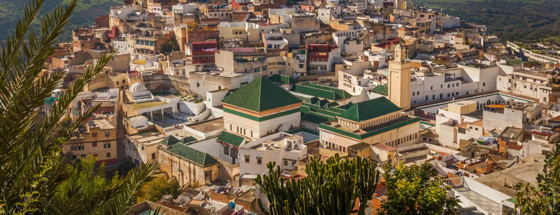 Meknes and Volubilis day trip from Fez