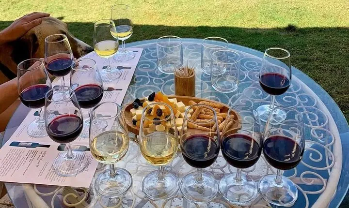 Wine Tasting Tour at Two Wineries in Urla Turkey