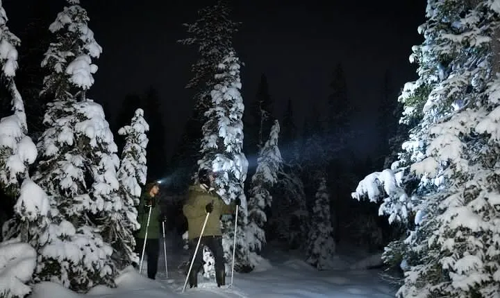 Evening Ski Trek to the Wilderness - Extra Small group