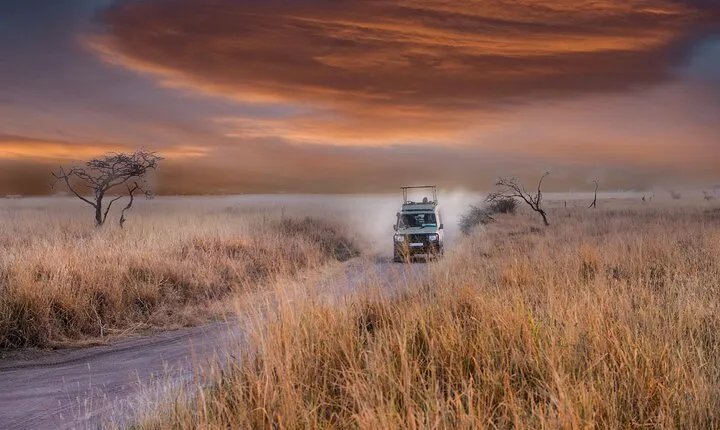 6 days Tanzania budget safari