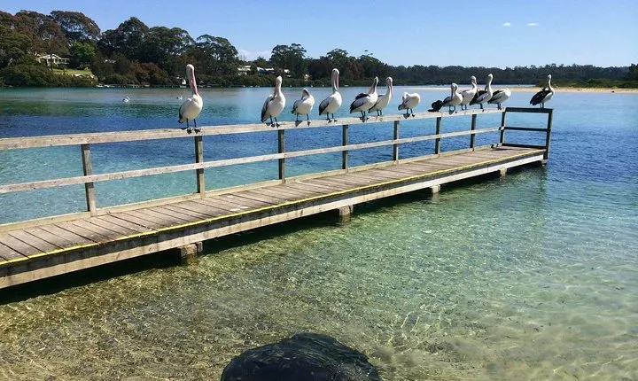 The Eurobodalla Experience (Full day private tour including lunch)