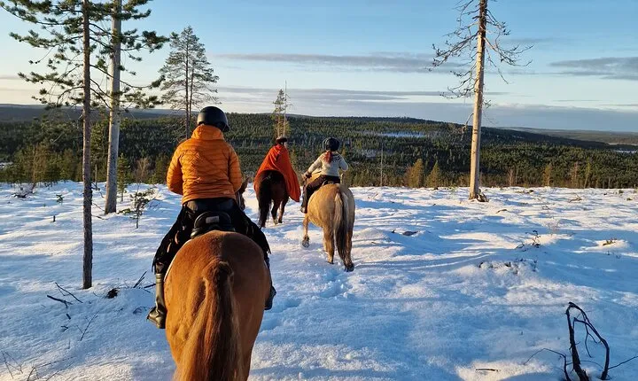 Horse ride to the snowy hill