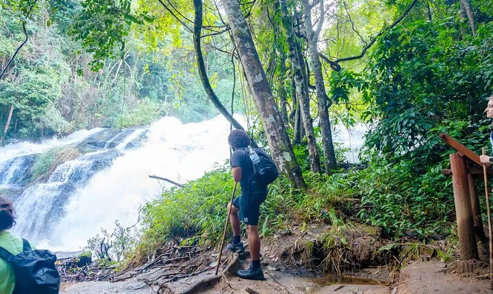 Chiang Mai ATV Tour, Doi Inthanon Trekking, and Elephant Watching