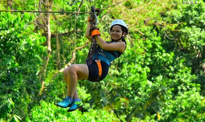 Canopy S Luis