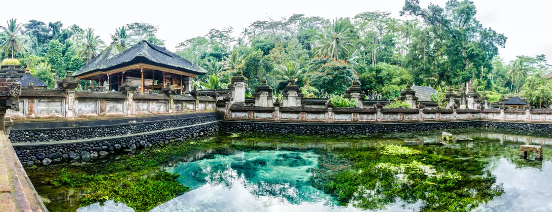 Bali traditional Ubud village sightseeing tour