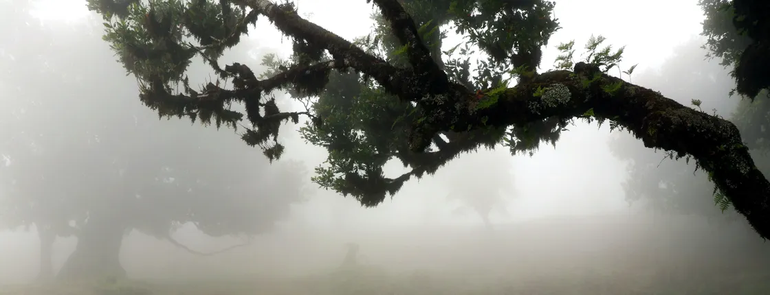 Fanal Walk from the West