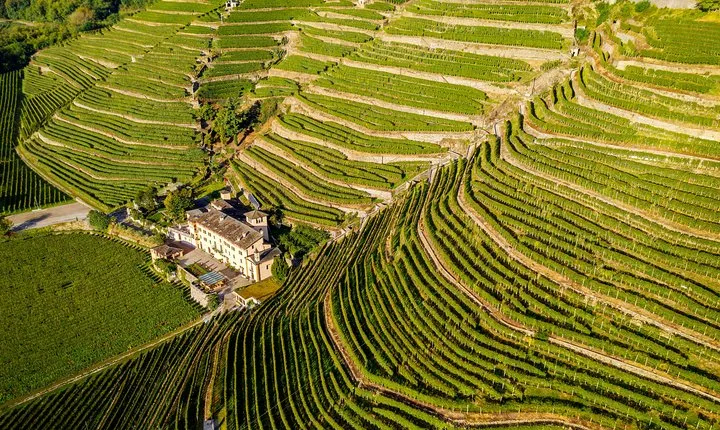 Lake Como & UNESCO Dry-stone Walls Vineyards
