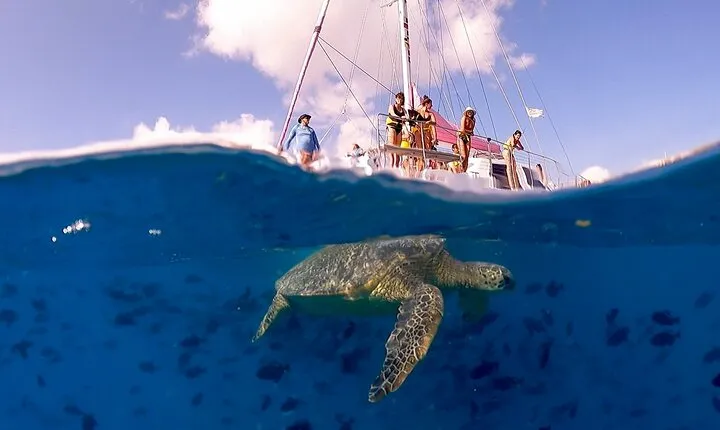 Turtle Snorkeling Boat Tour and Adventure in Waikiki