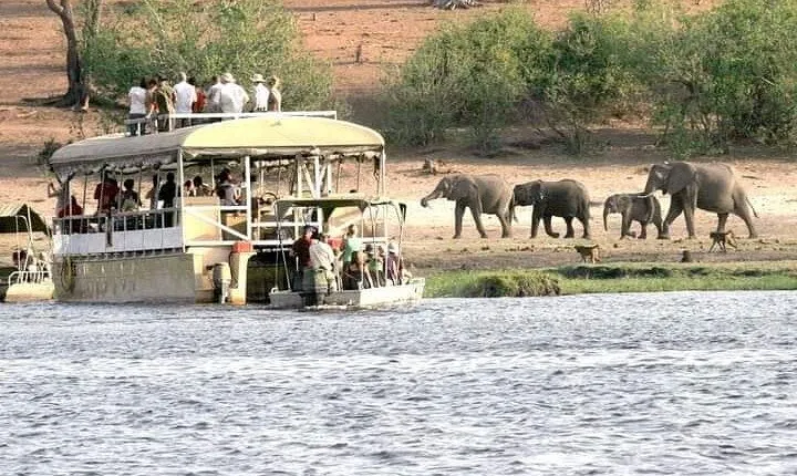 Chobe Day Trip