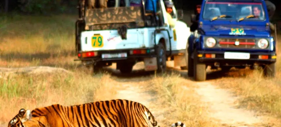 7 Days Golden Triangle with Ranthambore and Pushkar tour From Delhi