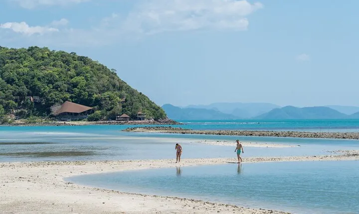 Coral and Pig Island: Koh Samui Island-Hopping Small Group Tour