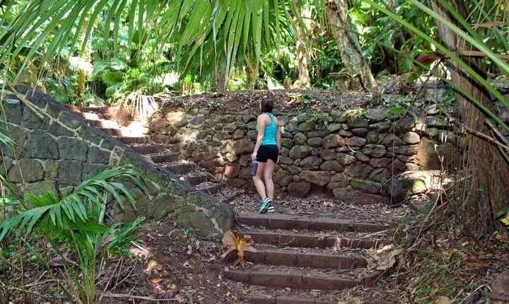 Ancient Oahu Circle Island Tour From Waikiki