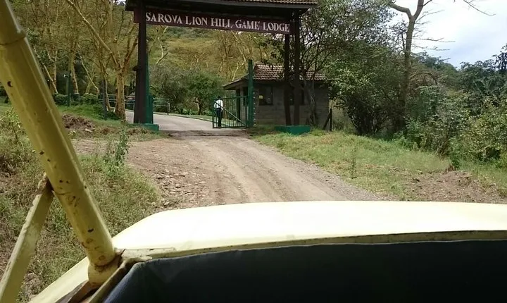 Lake Nakuru National Park Day Tour from Nairobi