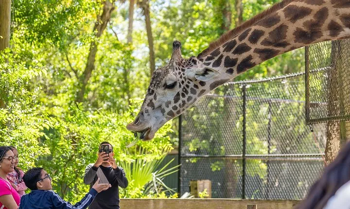 Central Florida Zoo and Botanical Gardens Admission Ticket