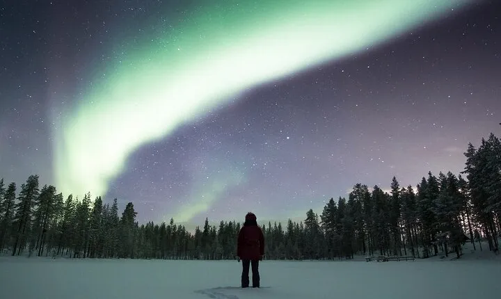 Small-Group Night Snowshoeing Experience in Rovaniemi