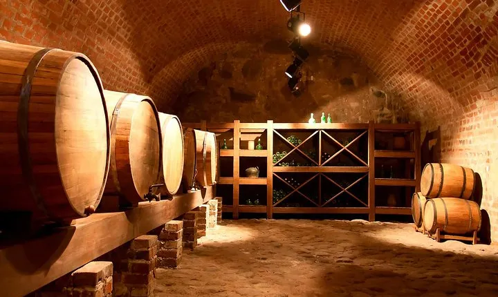 2-Day The Wine and Pisco Route in Paracas from Lima