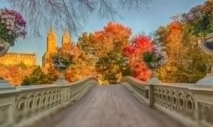 Self Guided Central Park Scavenger Hunt