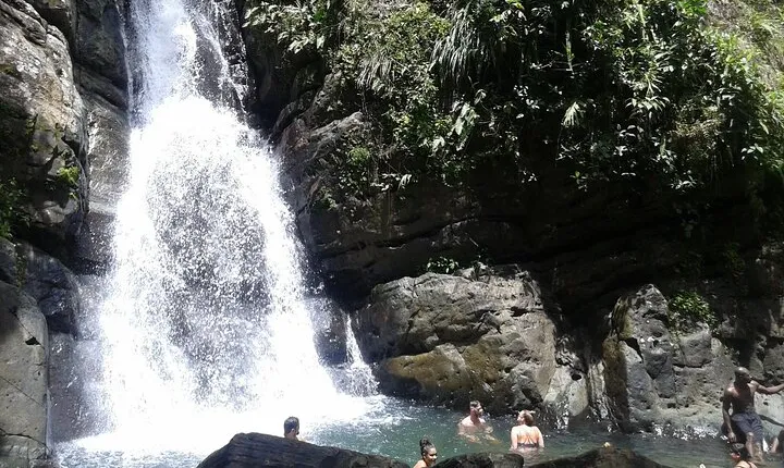 Private Tour El Yunque Rainforest swimming waterfall