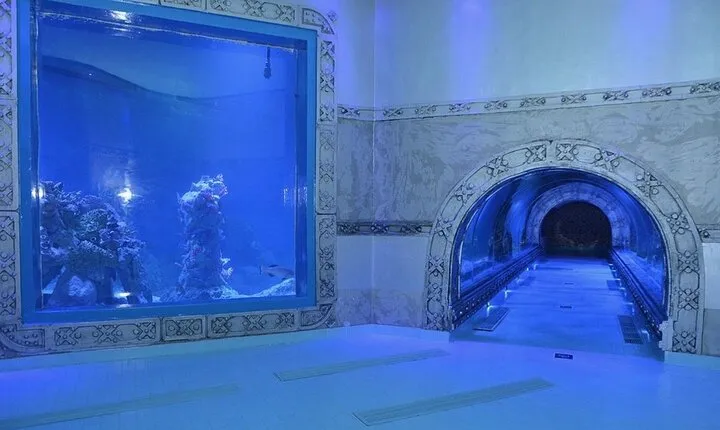 Hurghada Grand Aquarium Entrance Tour