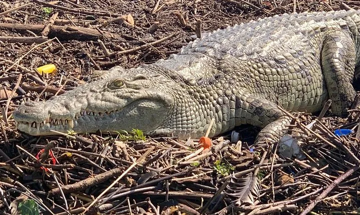 3 Days, Arba Minch, Dorze village and Konso Village