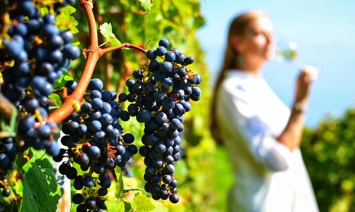 Ancient Corinth and Wine Tasting in Nemea Private Tour