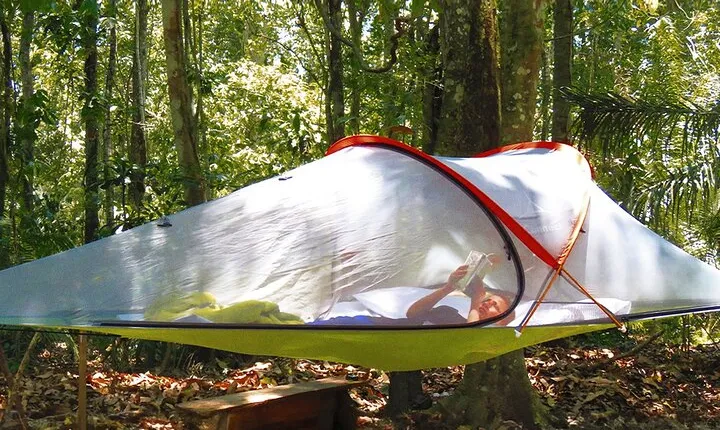 Bolivian Amazon: 3 days, Madidi Nat. Park with treetents