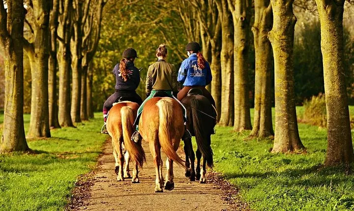 Umbria, Horseback riding in the Umbrian countryside with lunch