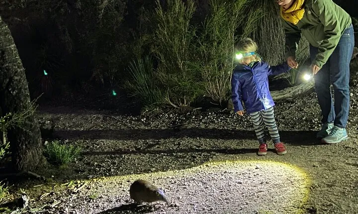 Nocturnal Wildlife Tour from Busselton or Dunsborough