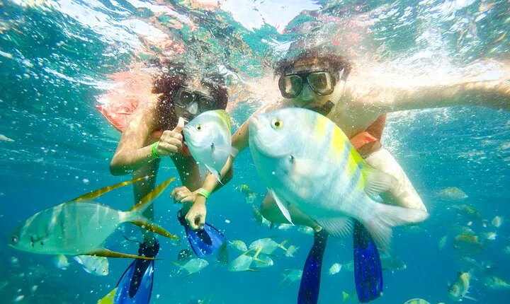 Snorkel at Pelican´s Beach Cabo San Lucas - Classic