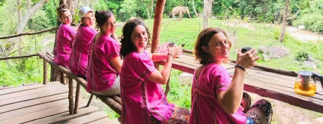 Half day tour to admire elephants and enjoy Thai nature