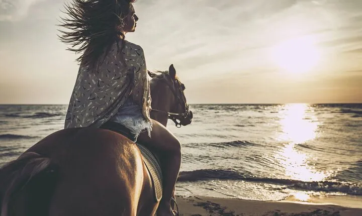 Horse Riding Adventure in the desert - El Quseir