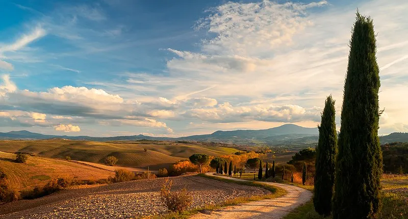 Private Tour - A Day in the Enchanting Val D'Orcia with Wine Tasting