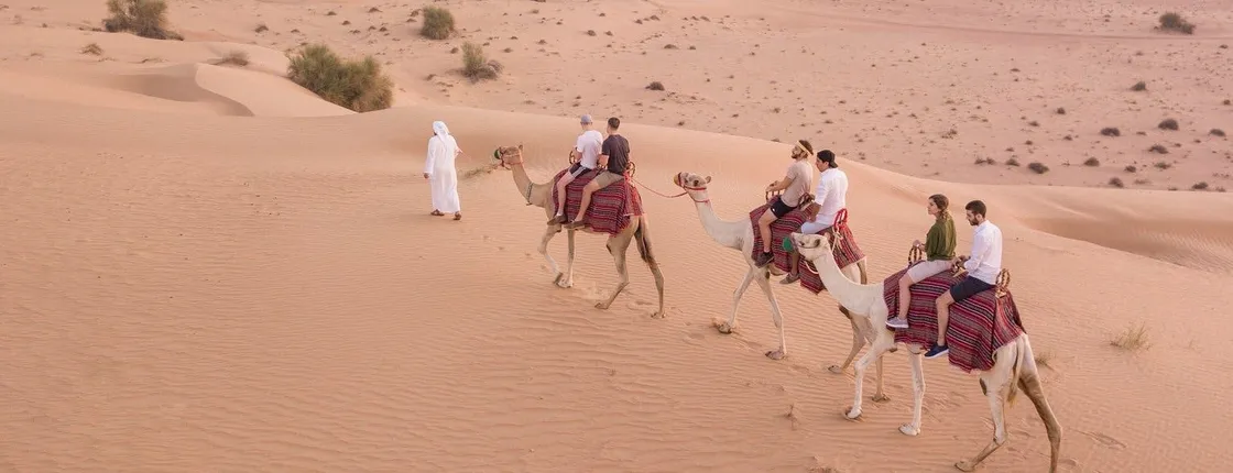 Dubai desert safari by camel with dinner