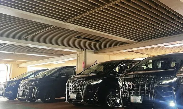 Tokyo Private Transfer Between Narita Airport and Tokyo
