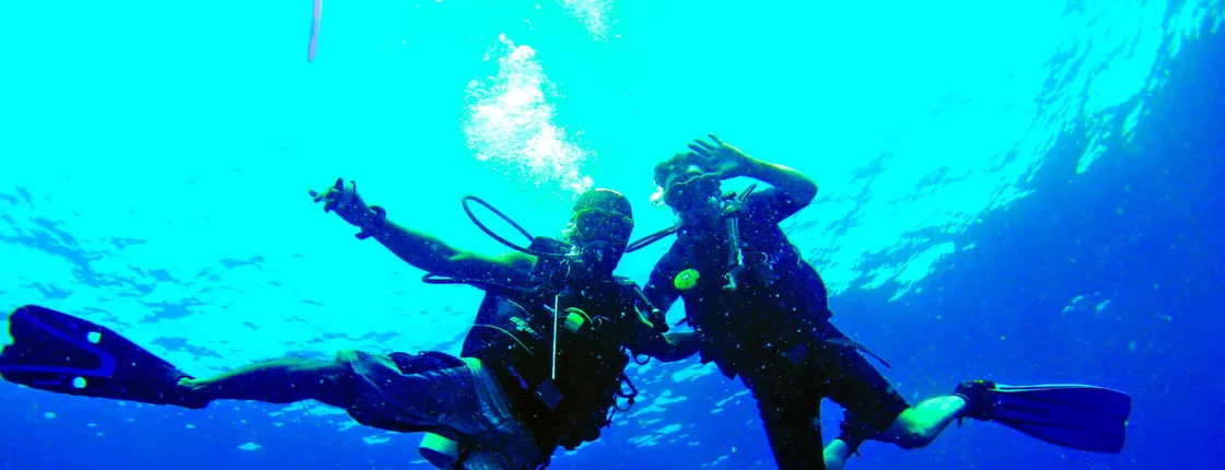 Open Water Course with Delphinus Diving