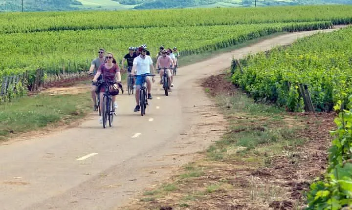 1 Day E-Bike and wine tour in Cote de Nuits