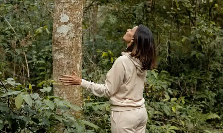 Bathing in the Forest Trail in Foz do Iguaçu