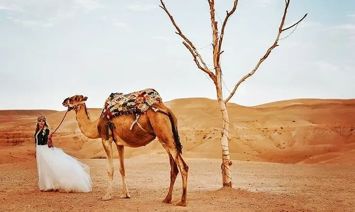Marrakech: Dinner In Agafay Desert with Sunset and Fire show