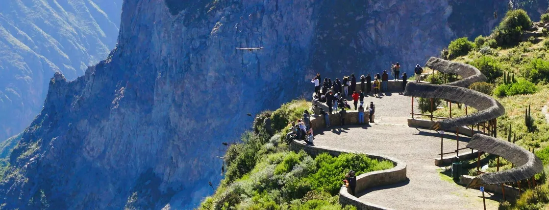 Colca Canyon full-day group tour with transfer to Puno from Arequipa