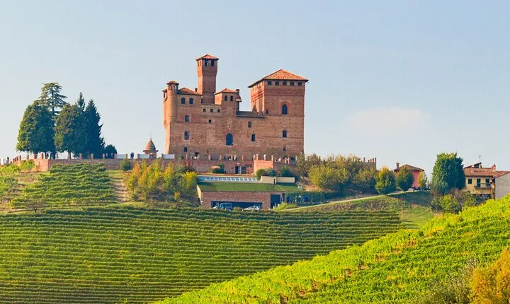 Barolo and Truffle Region Day Trip from Milan with Wine Tasting