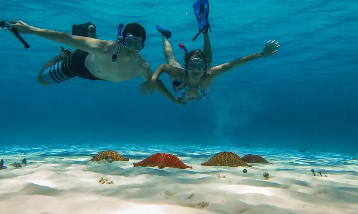 Palancar, Columbia and El Cielo Cozumel Snorkeling Tour