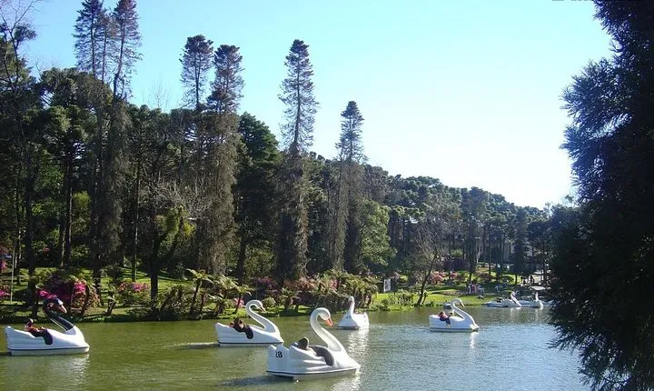 Tour Hortencias cinnamon Private lawn - 1-4 Pax by Fatur Turismo