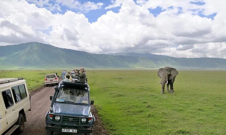7 Days Tarangire, Serengeti, Ngorongoro & Manyara Camping Safari Tour Tanzania