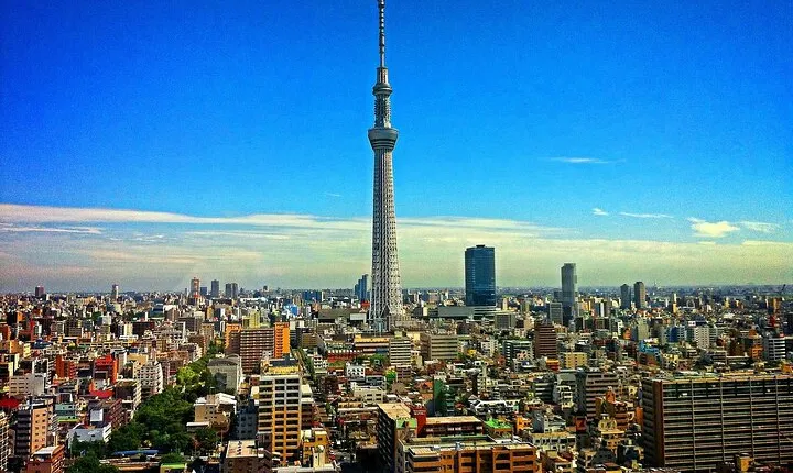 Private Memorable Tokyo Tour with English Speaking Driver
