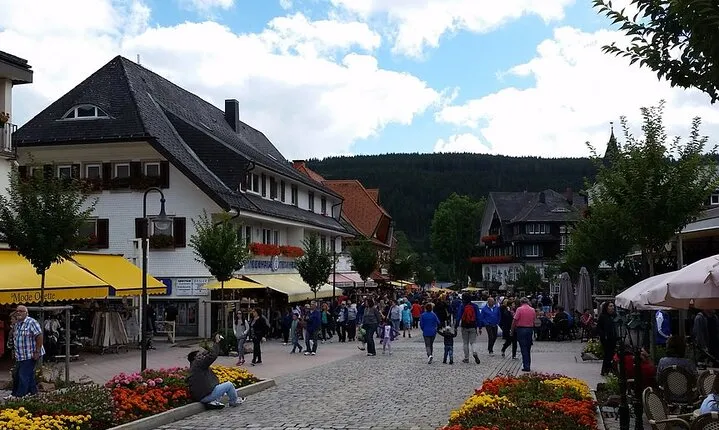 Full-Day Private Tour from Zurich to Lake Titisee Black Forest
