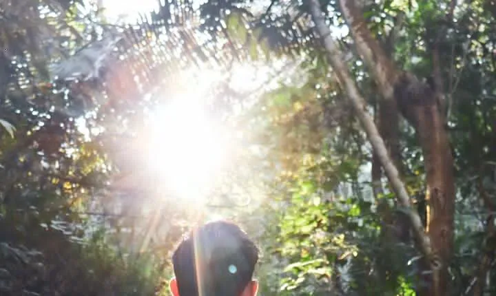 Private 4 hour Hiking Adventure + Breakfast in Nogalito Ecopark