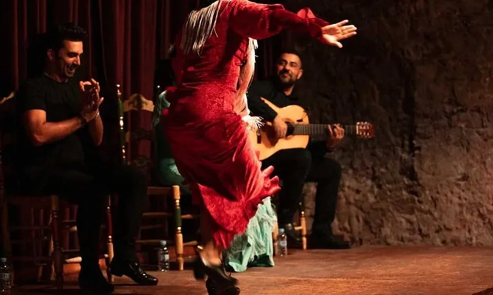 Old Tow Flamenco Show and Born Tapas Tour