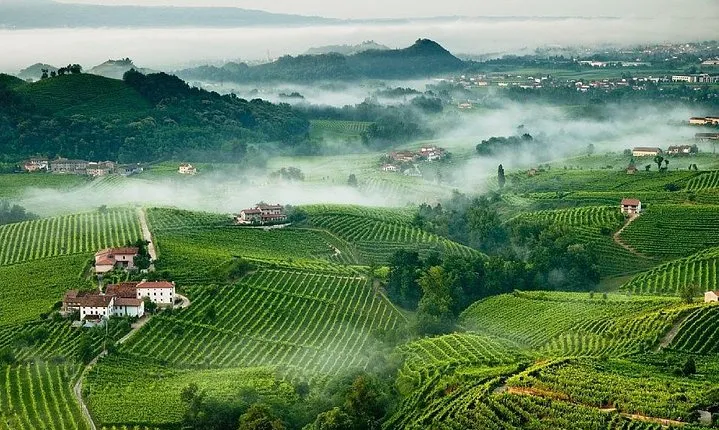 Franciacorta Wines & Bergamo from Milan - Private Tour